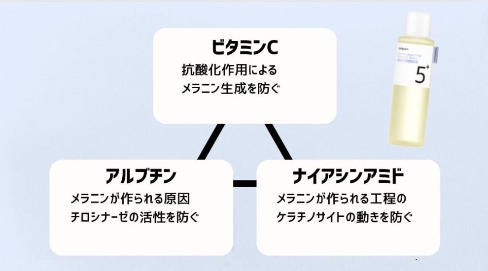 メラニンのメカニズムに全方位アプローチ