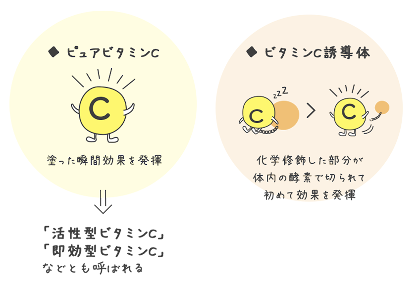 そもそもビタミンCとは？効果と使用時の注意点